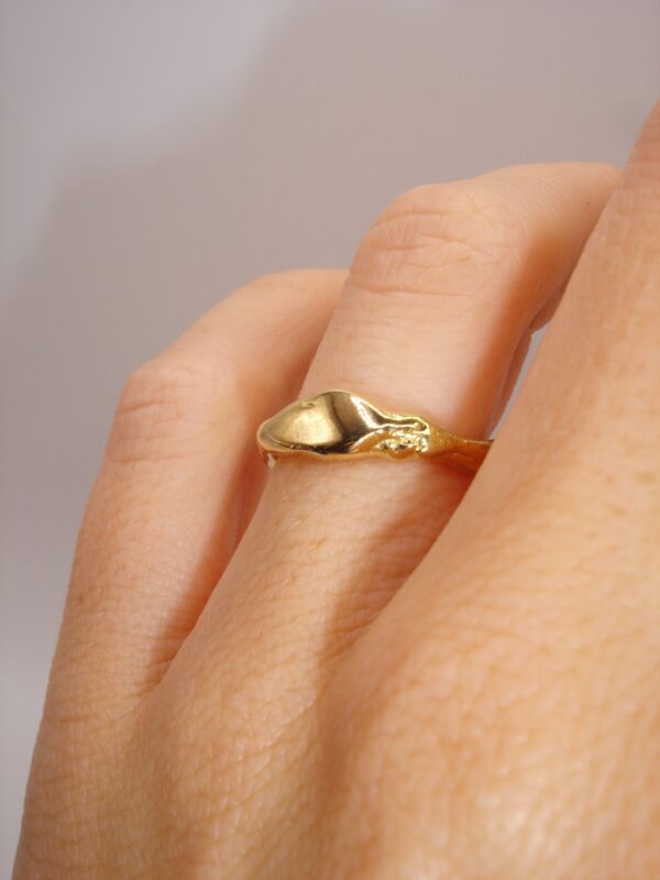 Anillo Ton - Imagen 8