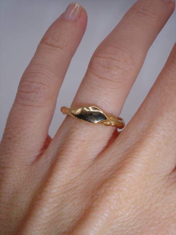 Anillo Ton - Imagen 9